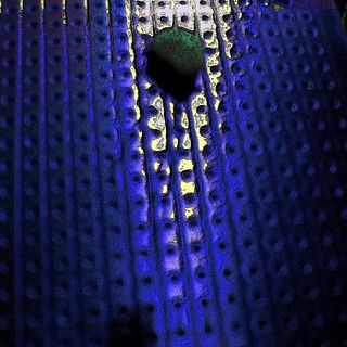 Slightly-glitched photo of an electronics prototyping board with a sigle transistor sticking up from it.